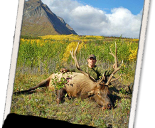 BC-125-Elk-2012-218x180