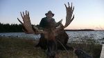 Copy-of-NEWFOUNDLAND-63-trophy-moose-pic