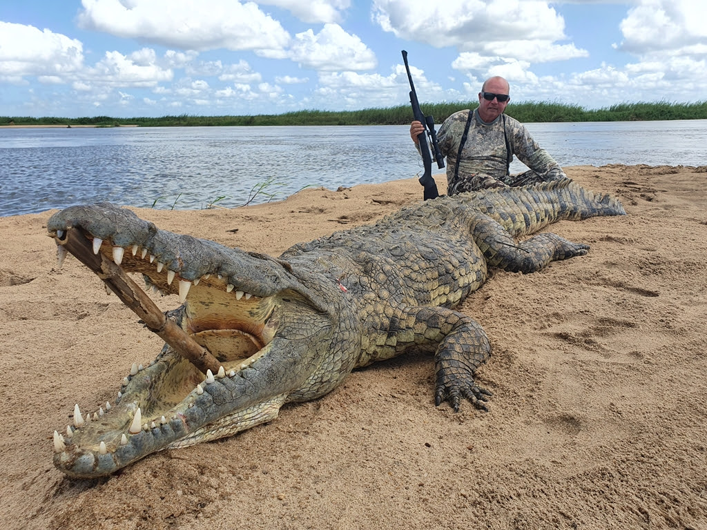 MOZ-282-another-big-croc