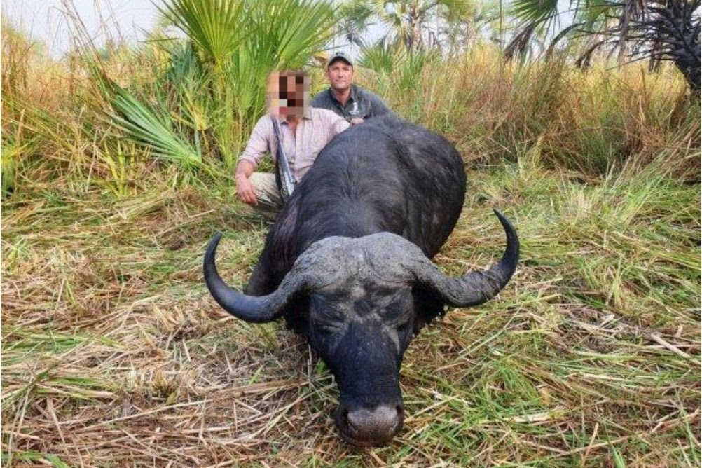 MOZ-282-another-nice-buff