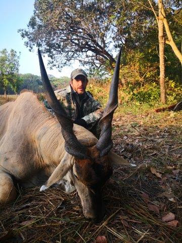 MOZ-282-big-eland