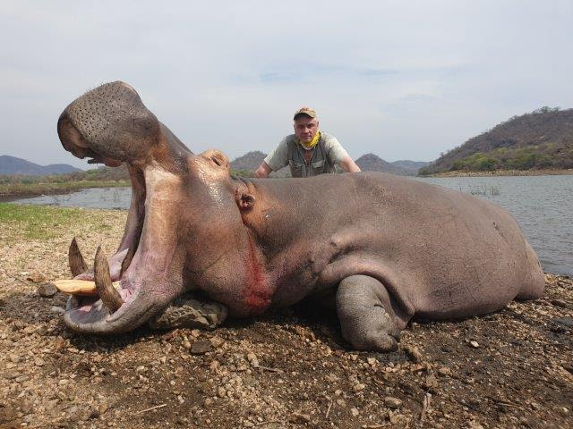 MOZ-282-big-old-hippo