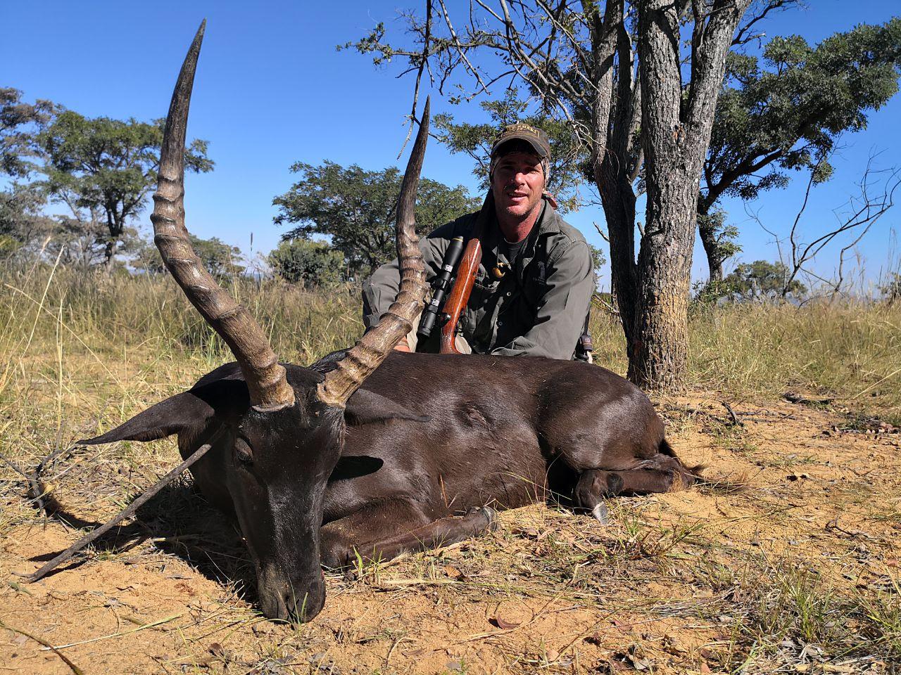 MOZ-282-black-impala