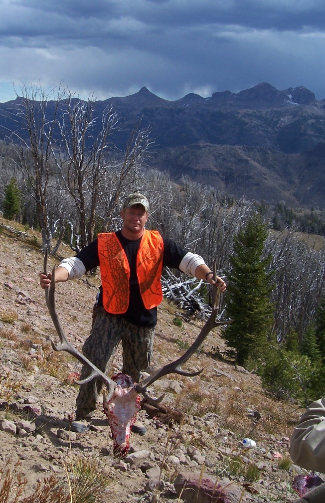 WY-218-skull-and-horns-2010-bull