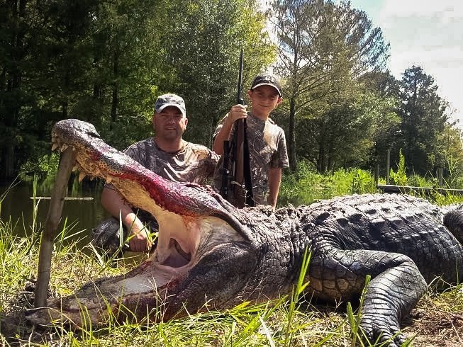 Alligator Hunting in Florida